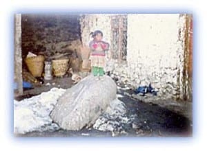 Ammonite fossil 4,000 m above sea level - Copy