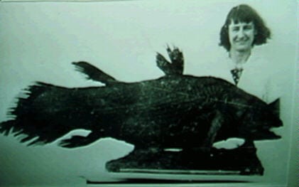Coelacanth_and_Courtenay-Latimer