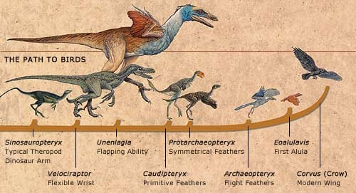 Did Dinosaurs Really Become Extinct 65 Million Years Ago | Images and